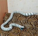 мягкая игрушка змеи более 3 метров